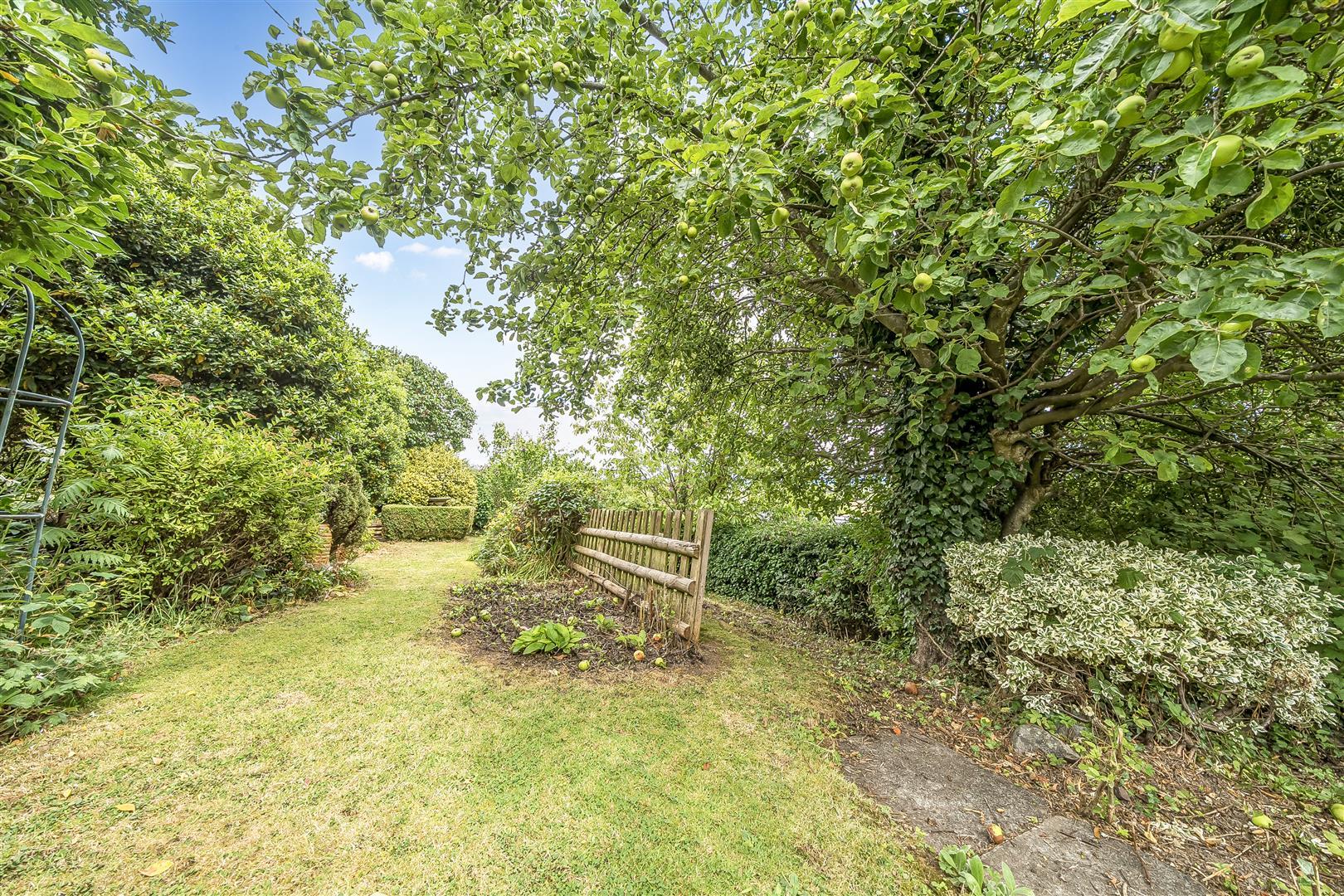 Property Image 4b9c46d0-5bd0-4616-b0d8-6332bf5be0b5