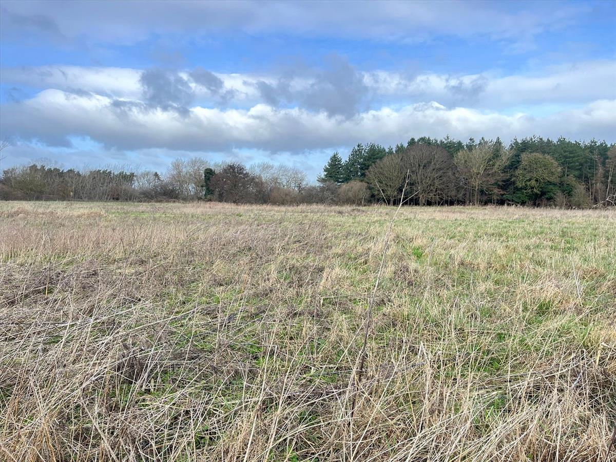 Property Image 4ba3ccf6-cb2d-4573-ba14-6d86a65576cd