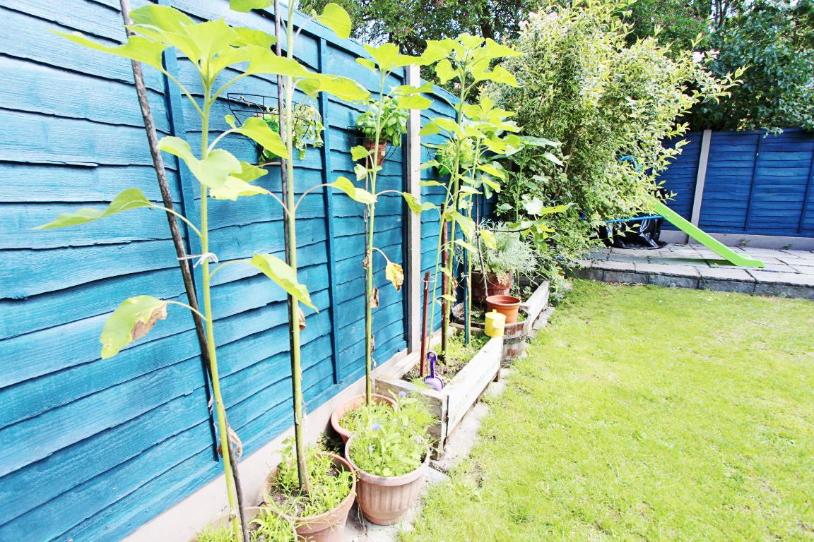 Property Image 4c1926d5-bda9-417c-a56d-2542fc7d8e5f