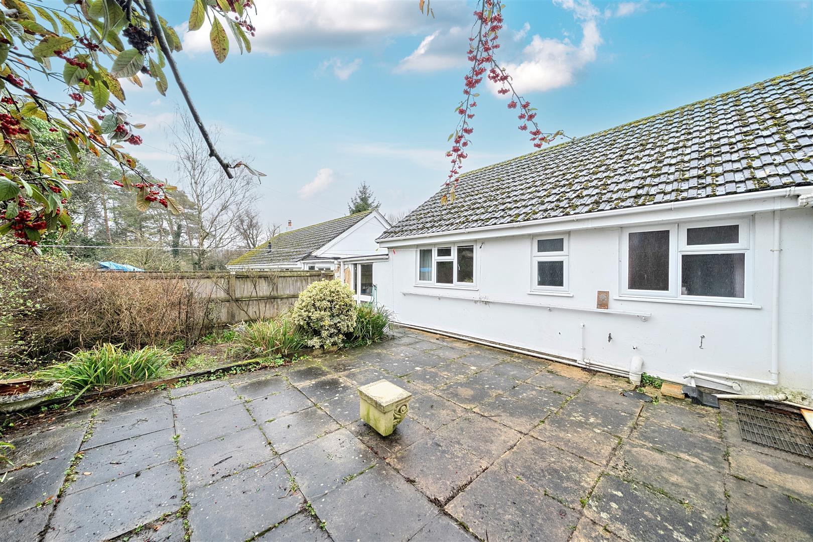 Property Image 4c41089d-939a-4c84-b64f-e13a21628b98