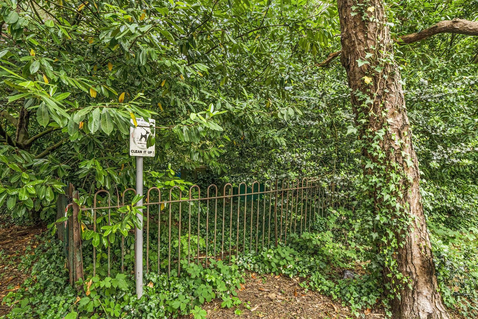 Property Image 4c470fde-8ad9-4082-9e8d-fa3e8dcfcfa0