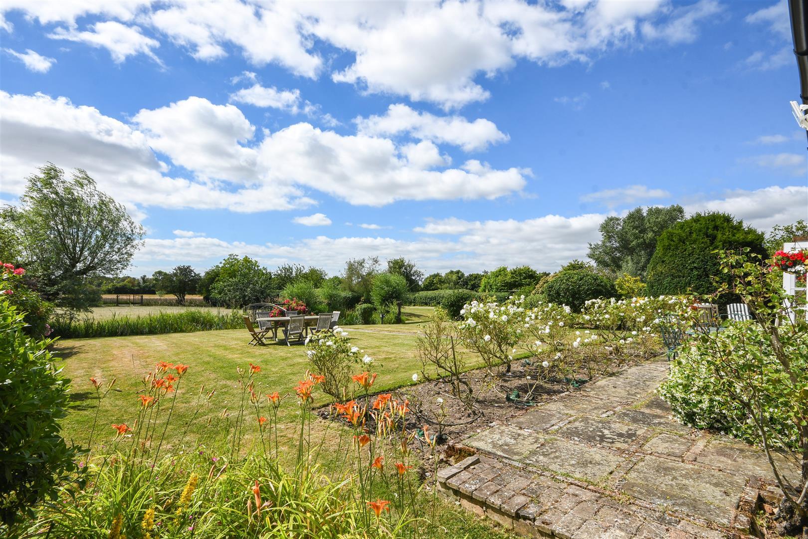 Image 29