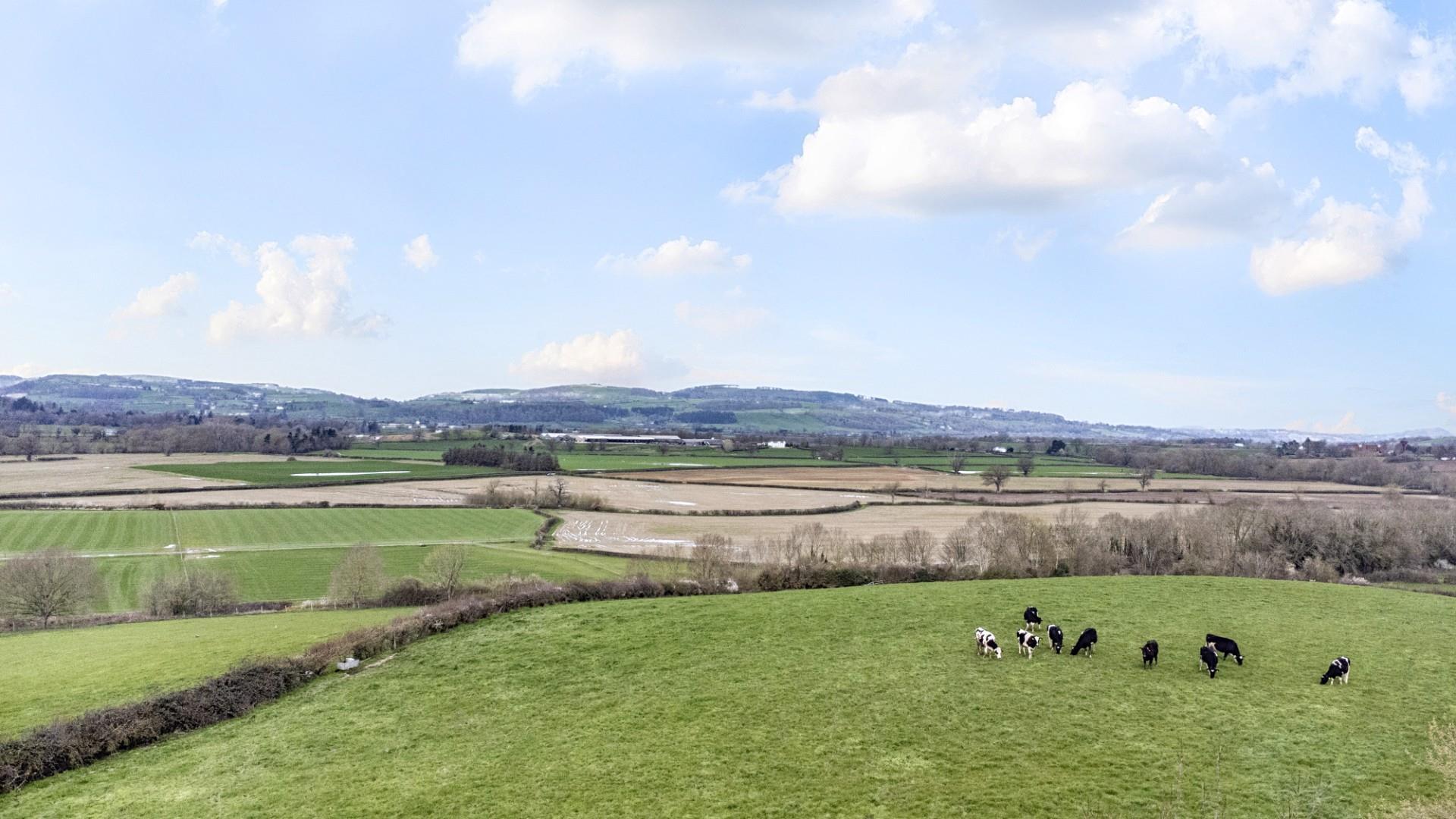 Property Image 4c8fe749-e018-4c53-9bf8-b19a87e6d0e2