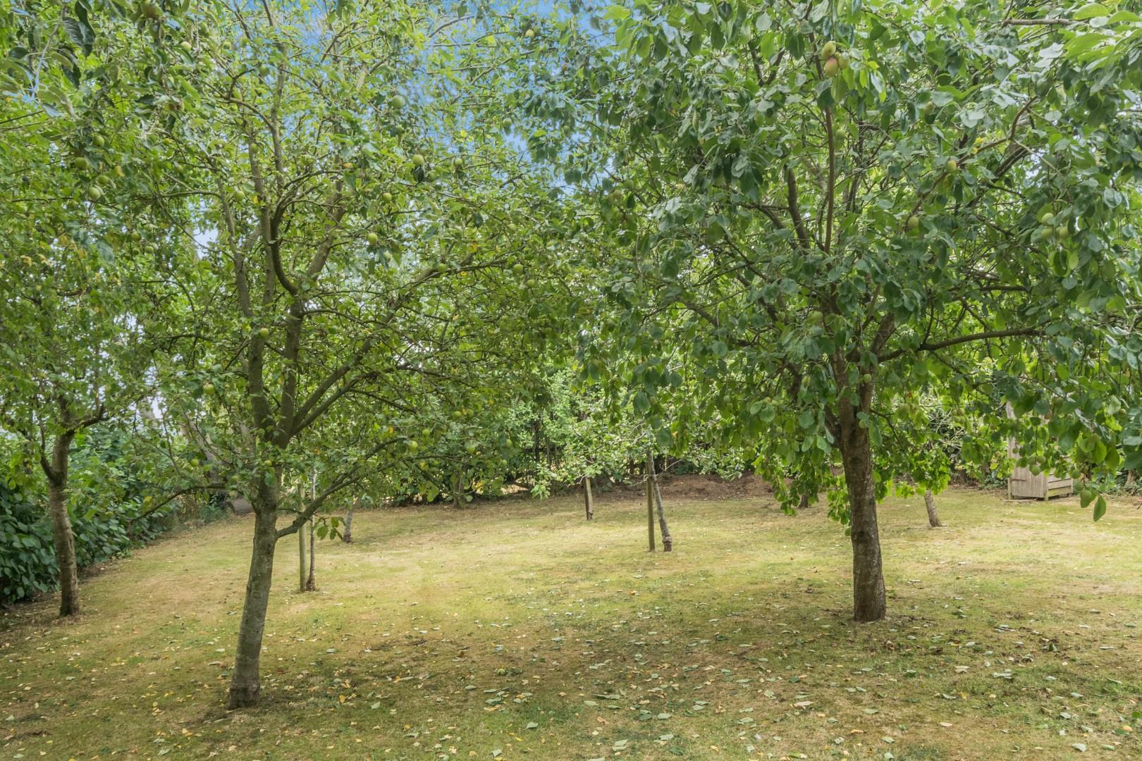 Property Image 4cc1f959-f0d8-4dd3-8fda-f7ab26a41f53