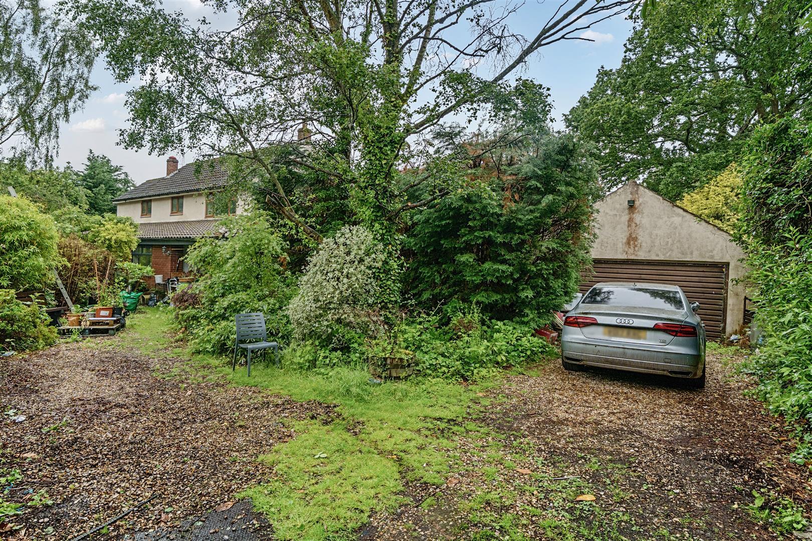 Property Image 4cf1fbea-daf0-4f84-a639-00bf76ab91e4