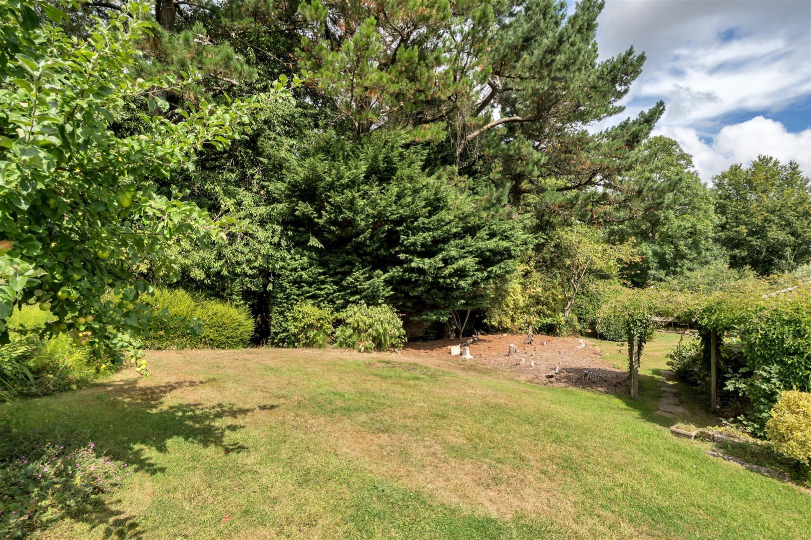 Property Image 4cf45787-8b9b-4fdb-9701-58ee7944001b