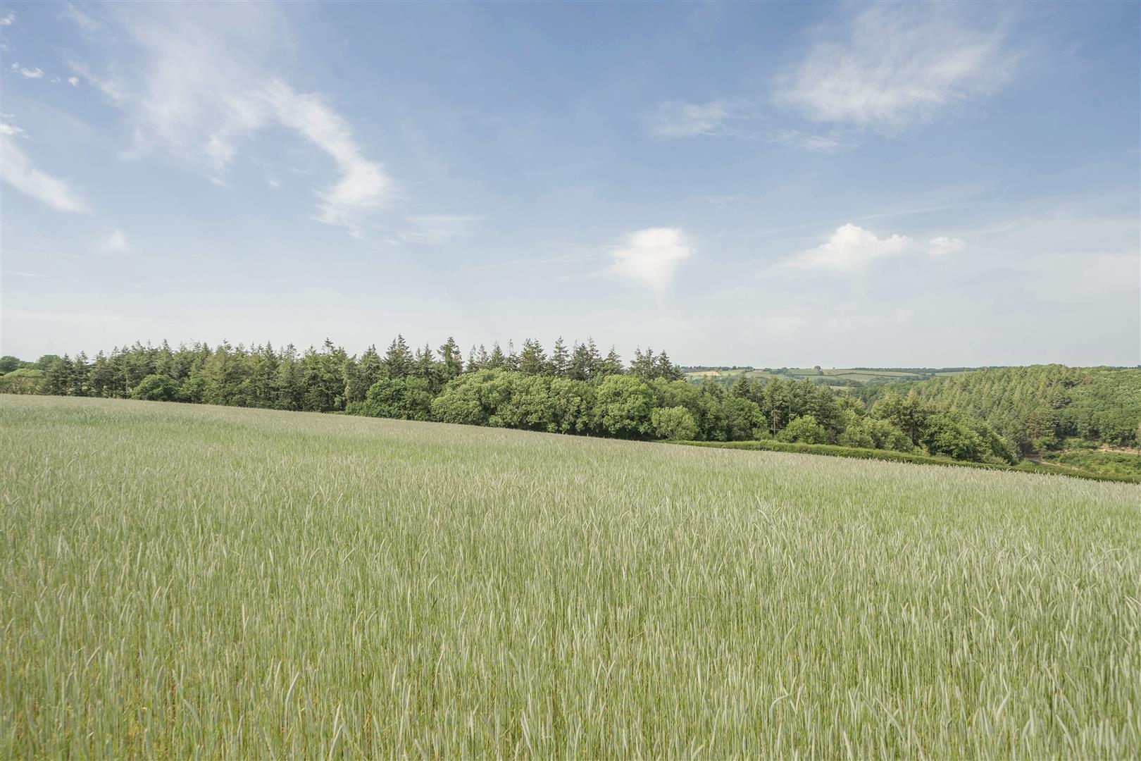 Property Image 4d0fa2d1-29ce-42d8-b6d4-747832c74d1b
