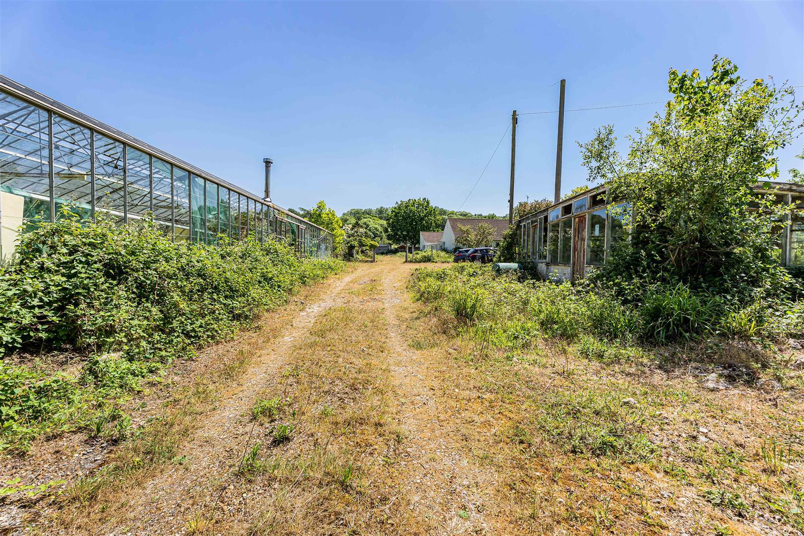 Property Image 4d107480-13bd-42c1-b4a9-cb65fadd1e07
