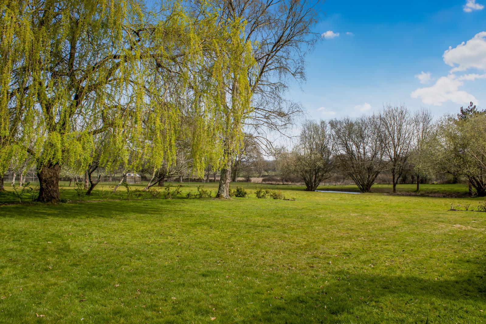 Property Image 4d3656ea-1b6c-4a68-8593-993a7961c067