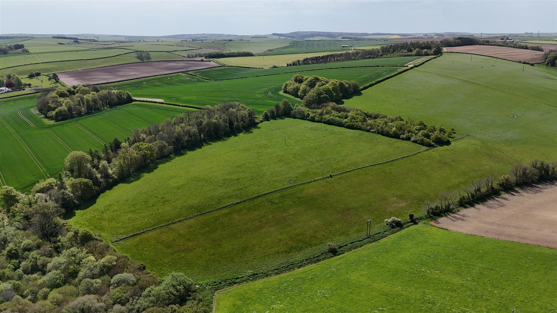 Property Image 4d3e1352-f9f0-4e7e-bf8c-84185ccb4e94