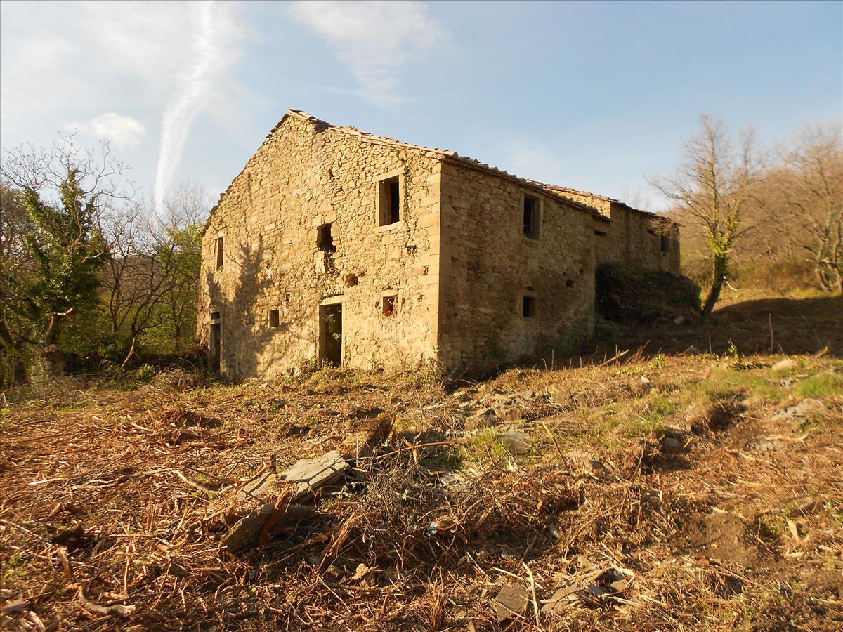 Property Image 4d5cbcb5-4cd4-43d1-a1ae-8557ab6036d0