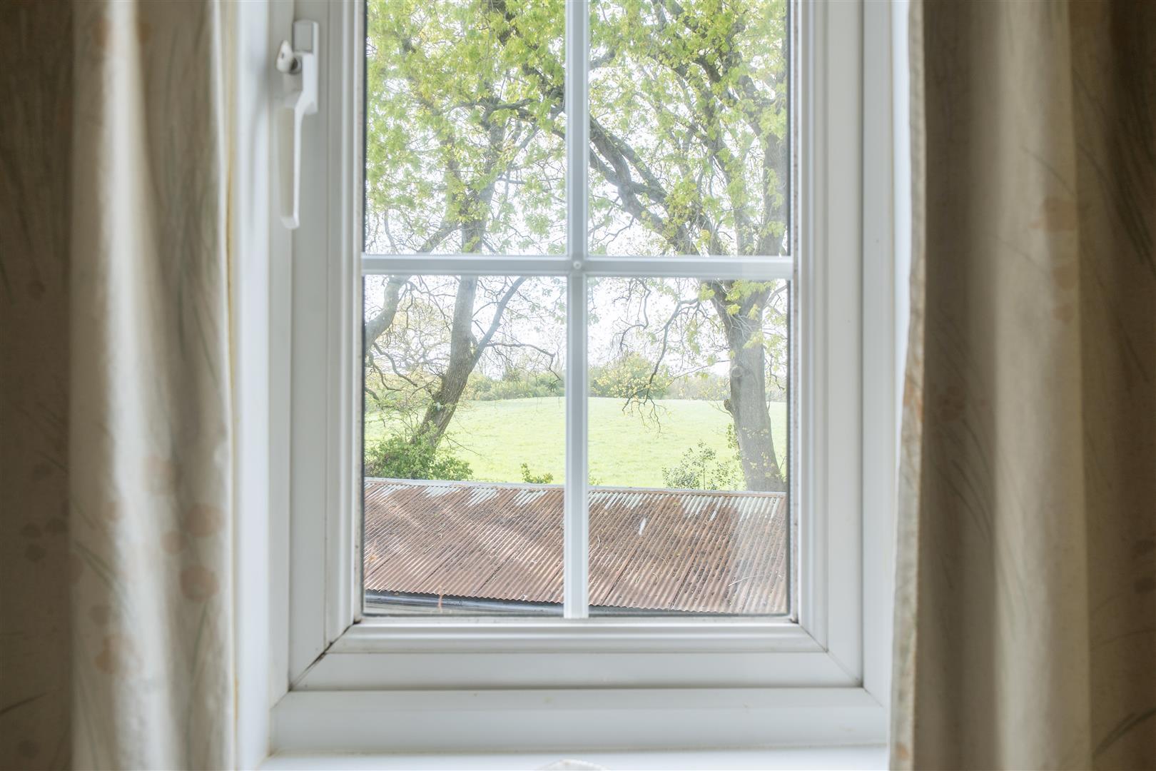 Image 15