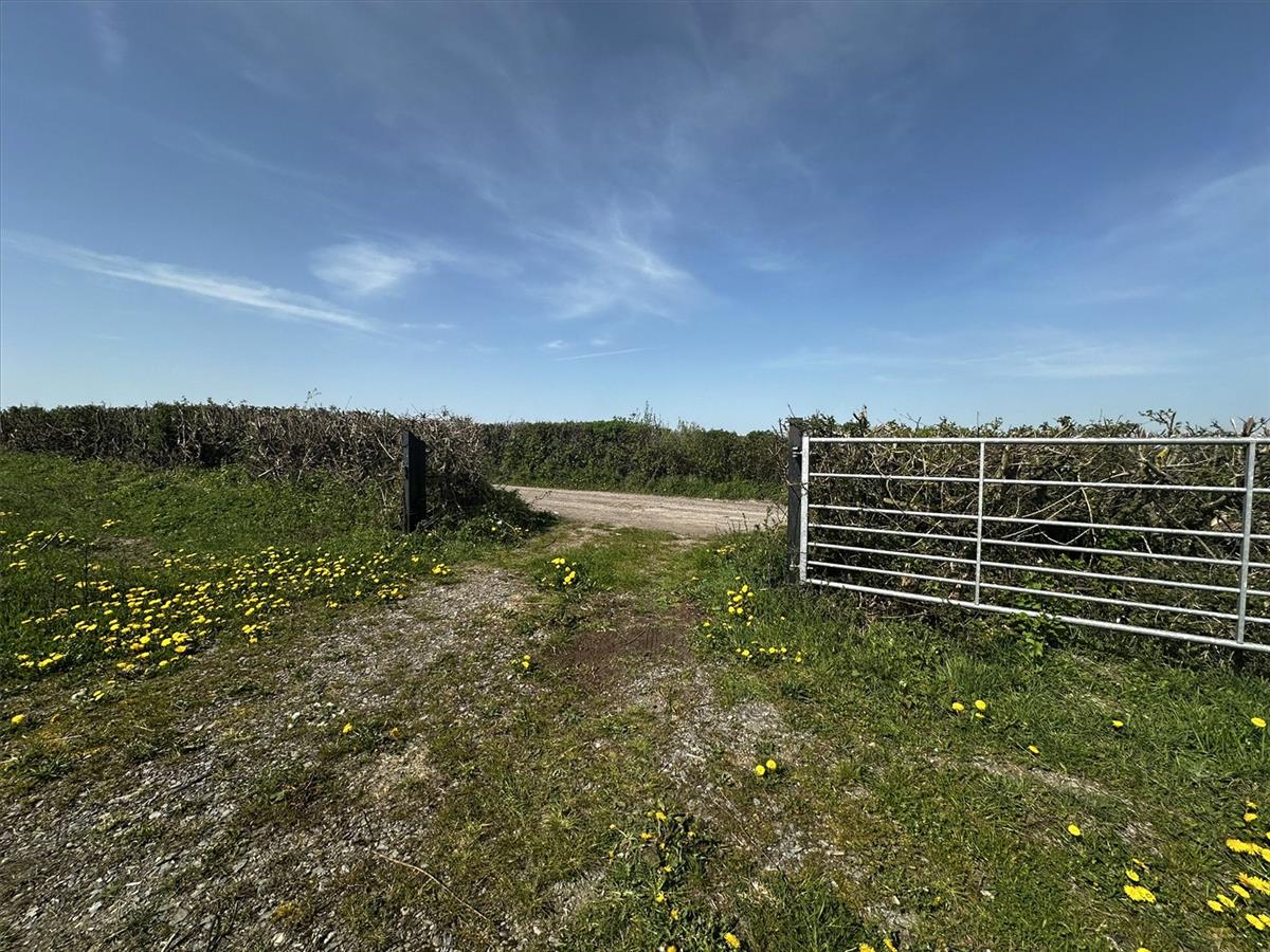 Property Image 4dc60670-23ff-4a90-ad17-63a117cfb615