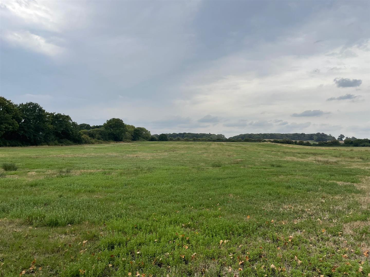 Property Image 4dee40c3-8510-4f28-9dac-db62f4c03e23
