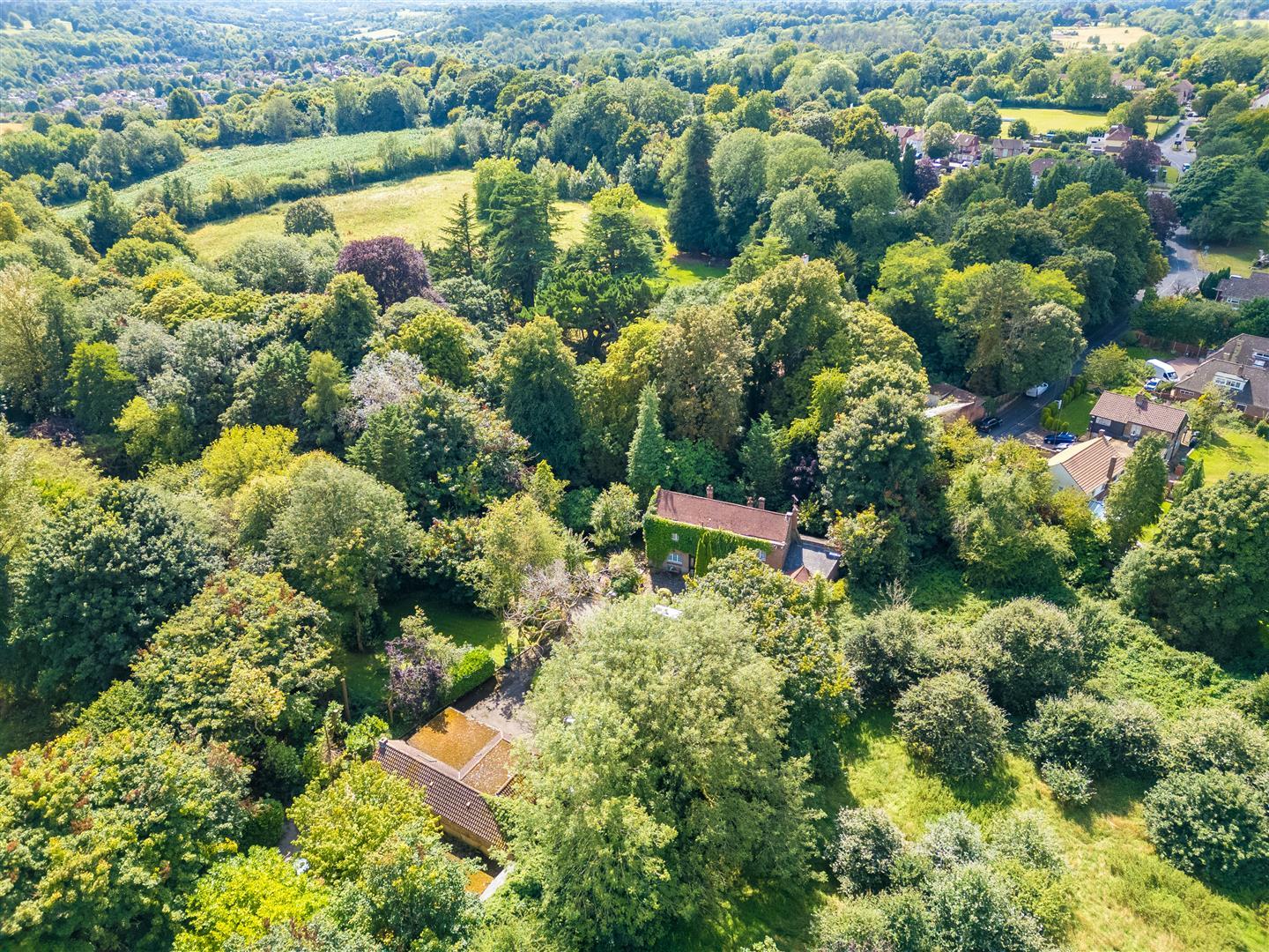 Property Image 4e0b5d47-acbb-4d9b-8cb8-66fefa17c44b