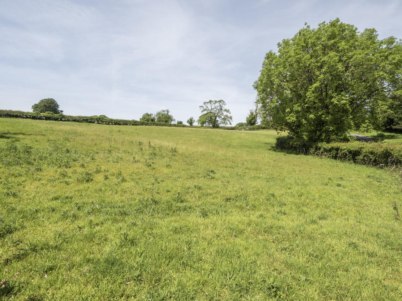 Property Image 4e790d78-0447-4d3d-99d4-a930a06dbb4f