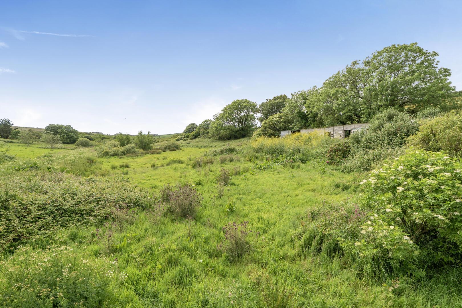 Property Image 4e8447ca-5aaa-4e7d-888a-e0d68862638f