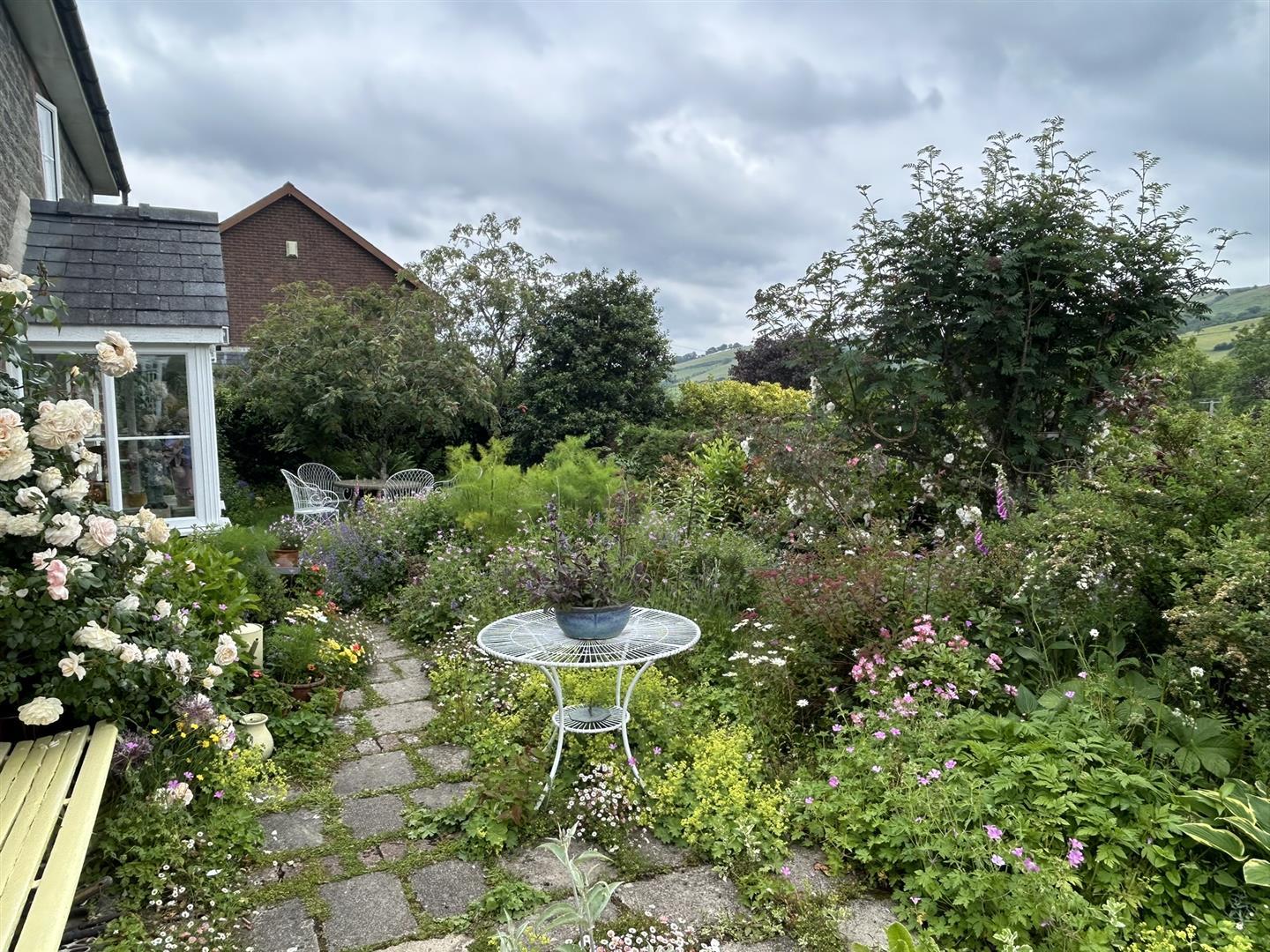 Image 24