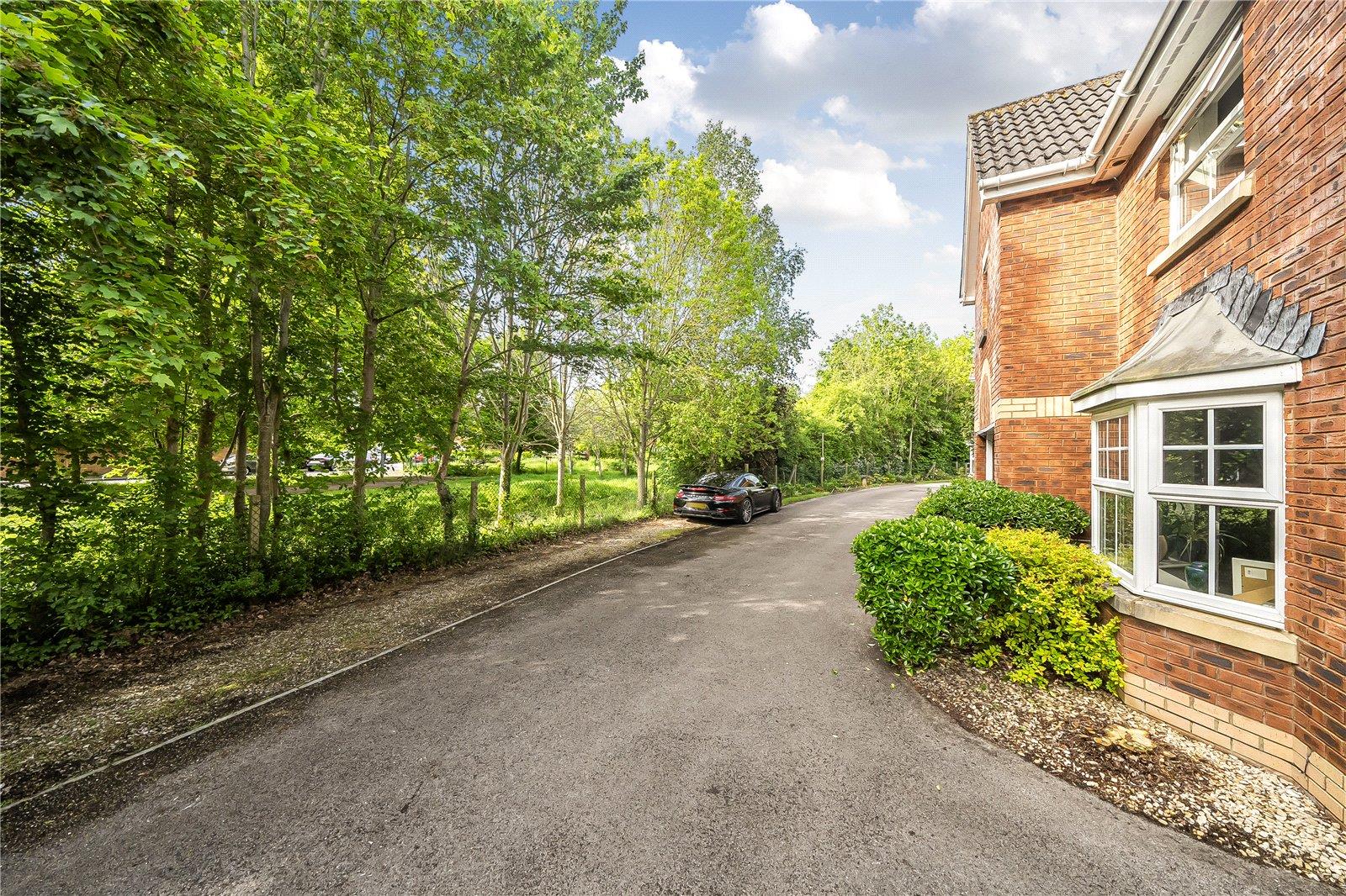Property Image 4eb6b507-e119-4d30-8511-988cee95b2f4