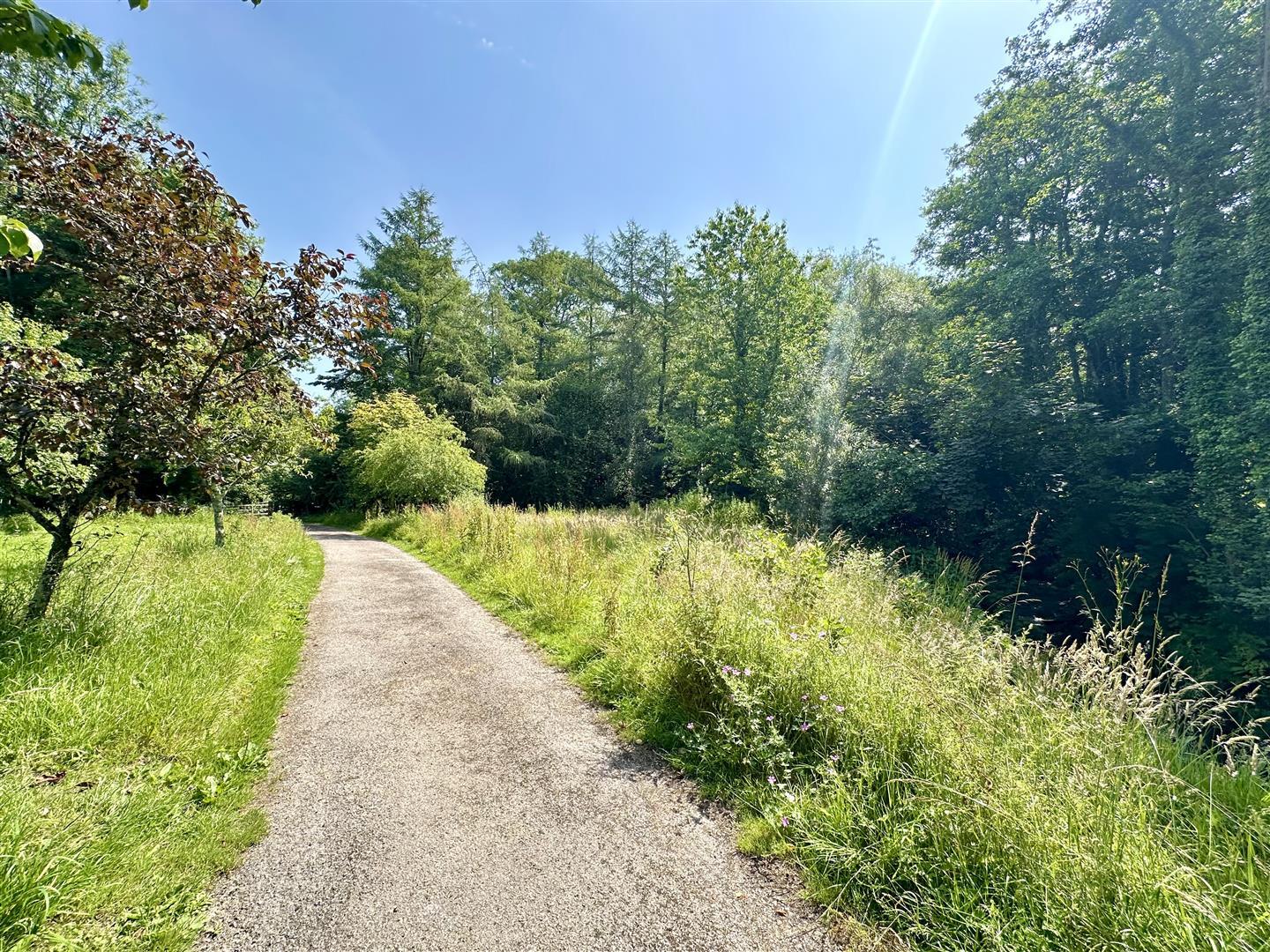 Property Image 4ef0abe4-4c99-4d40-a0b4-fd98d4885a1d