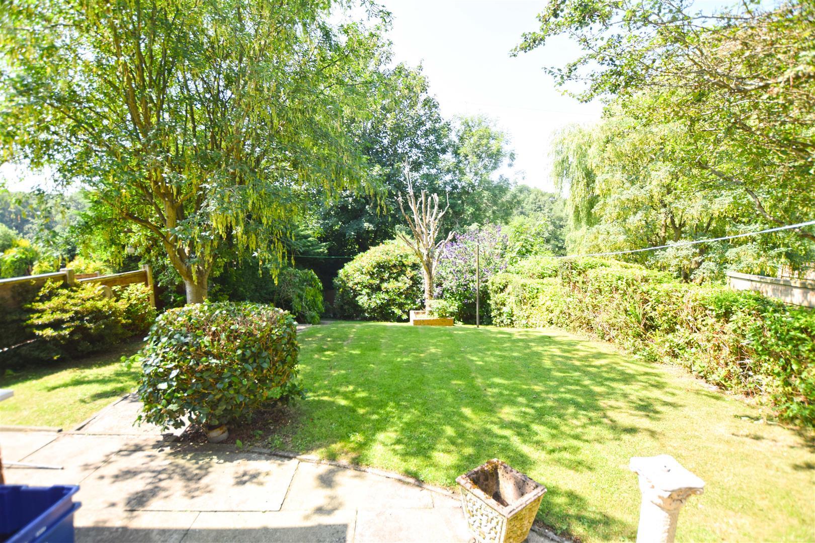 Property Image 4f00717d-610e-4175-9d19-791f34092fc5