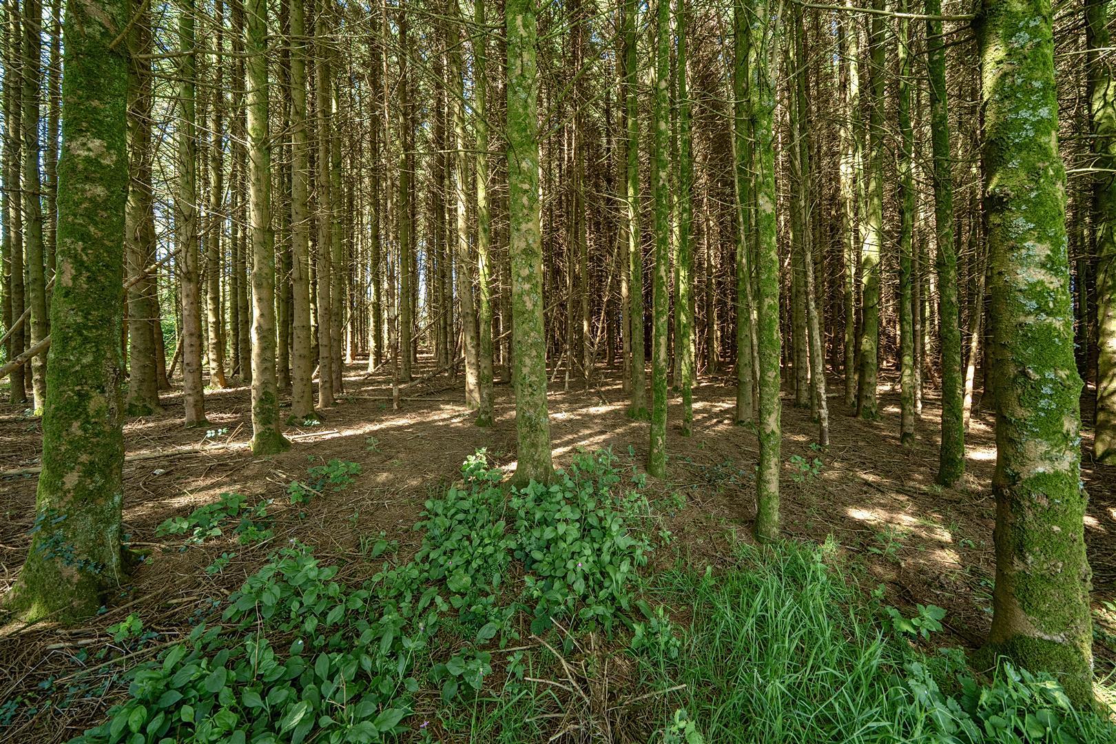 Property Image 4f0ed88f-5b5d-42e8-889a-c59452c4a0ce