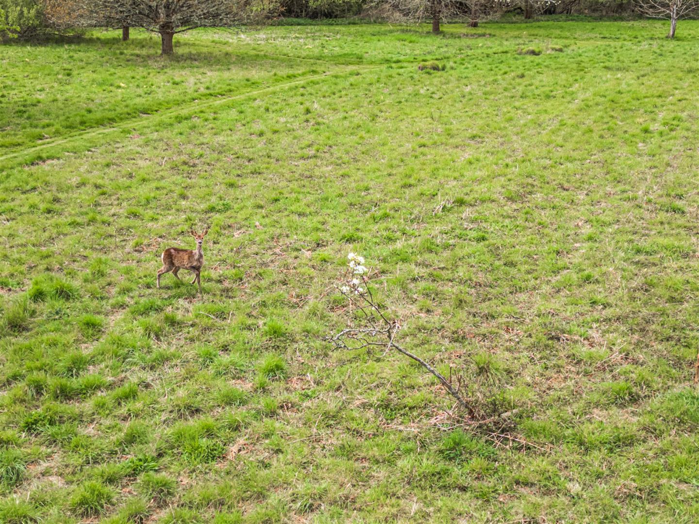 Property Image 4f187d9e-3598-4980-9e83-1ab691c0ffb9
