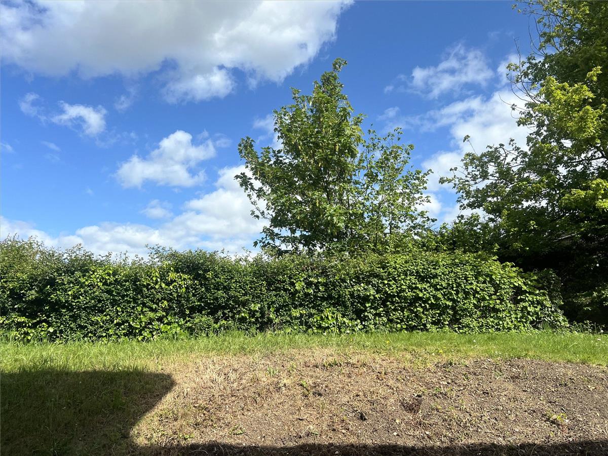 Property Image 4f1da6f6-1a38-49b2-8b8d-46fc7b216349