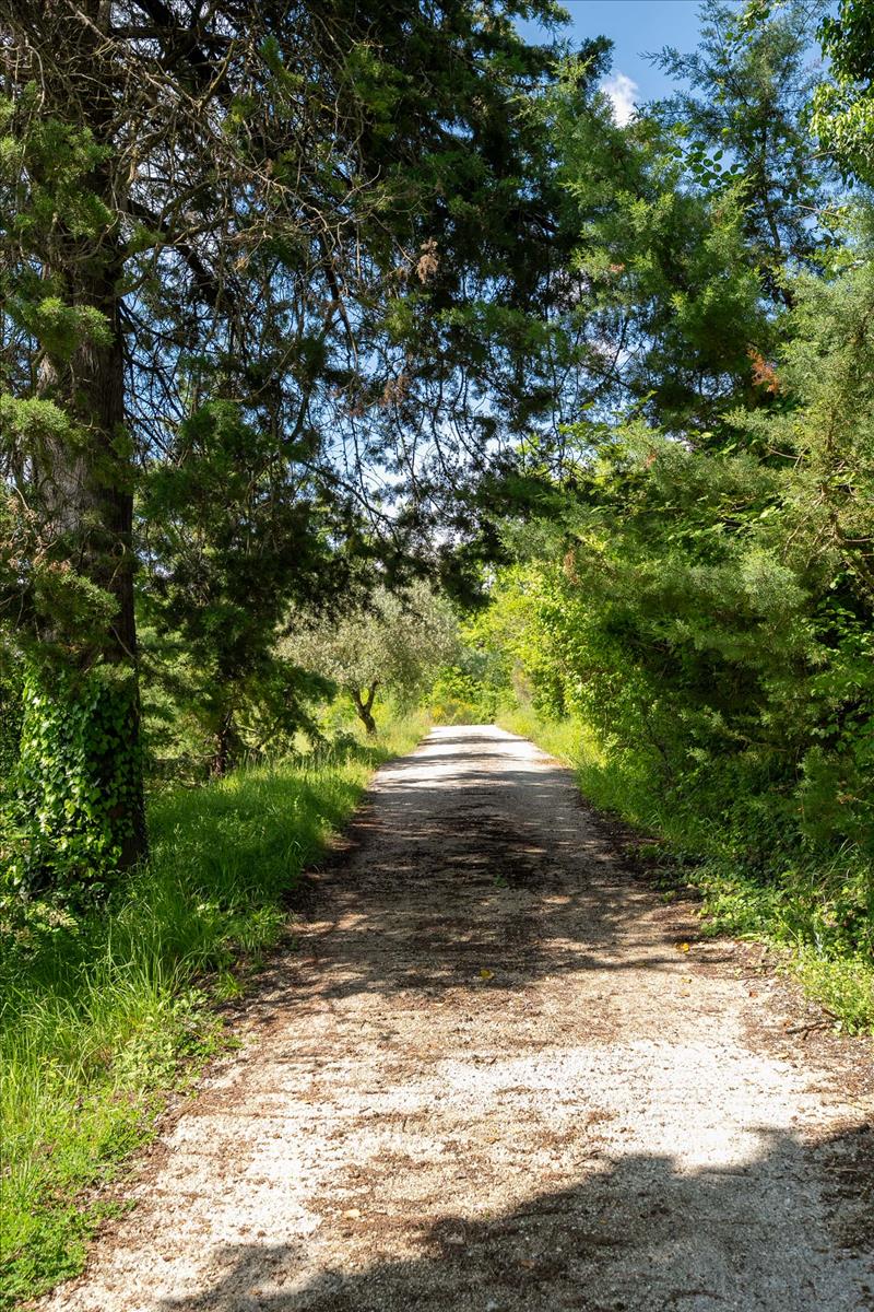 Property Image 4f2a173a-d1bb-42a1-a8ce-7bb30263fa25