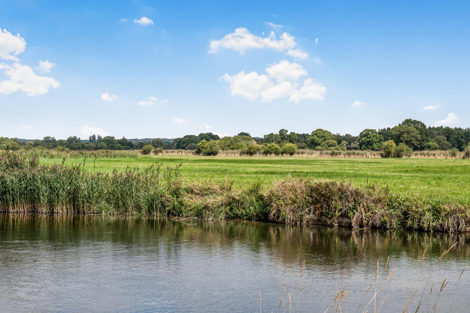 Property Image 4f46f2a7-bd10-4260-bc82-964f325f4076