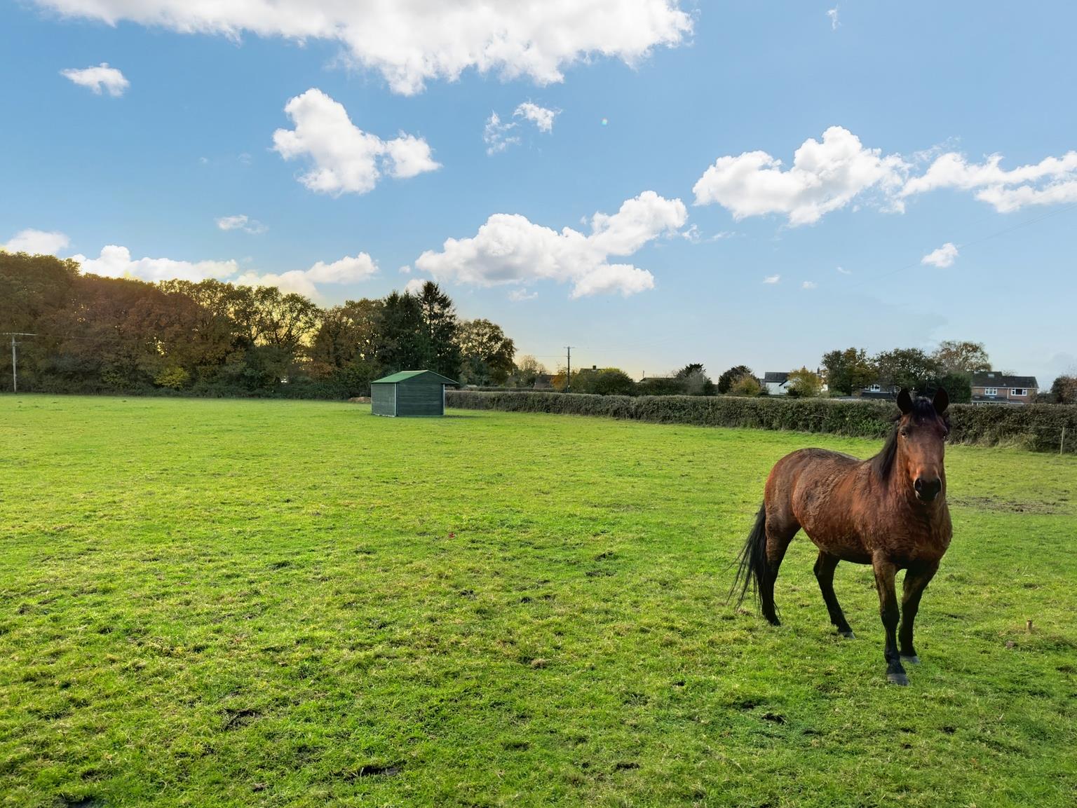 Paddocks
