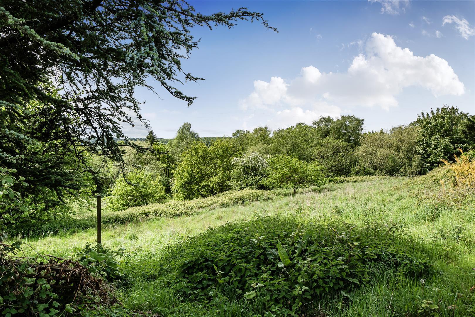 Property Image 4f6fc48e-4a9d-42bb-8a07-efe3c6ad4287