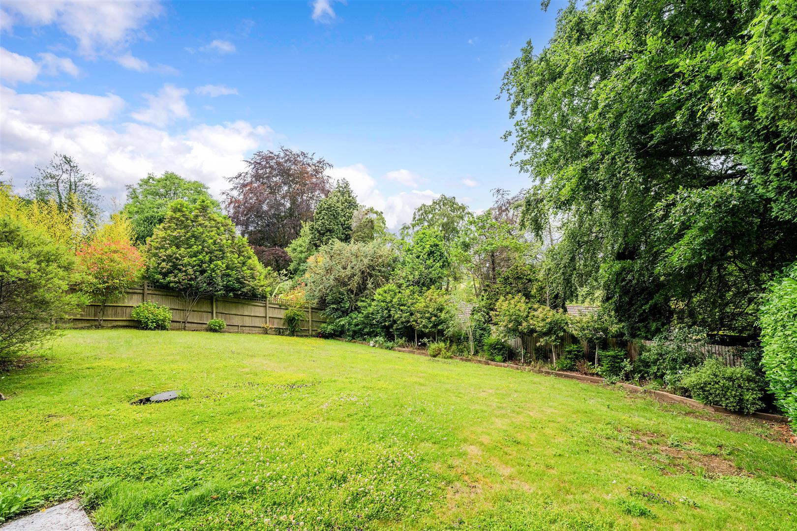Property Image 4f774354-6ee6-454e-bd35-1dbaa33c2a97