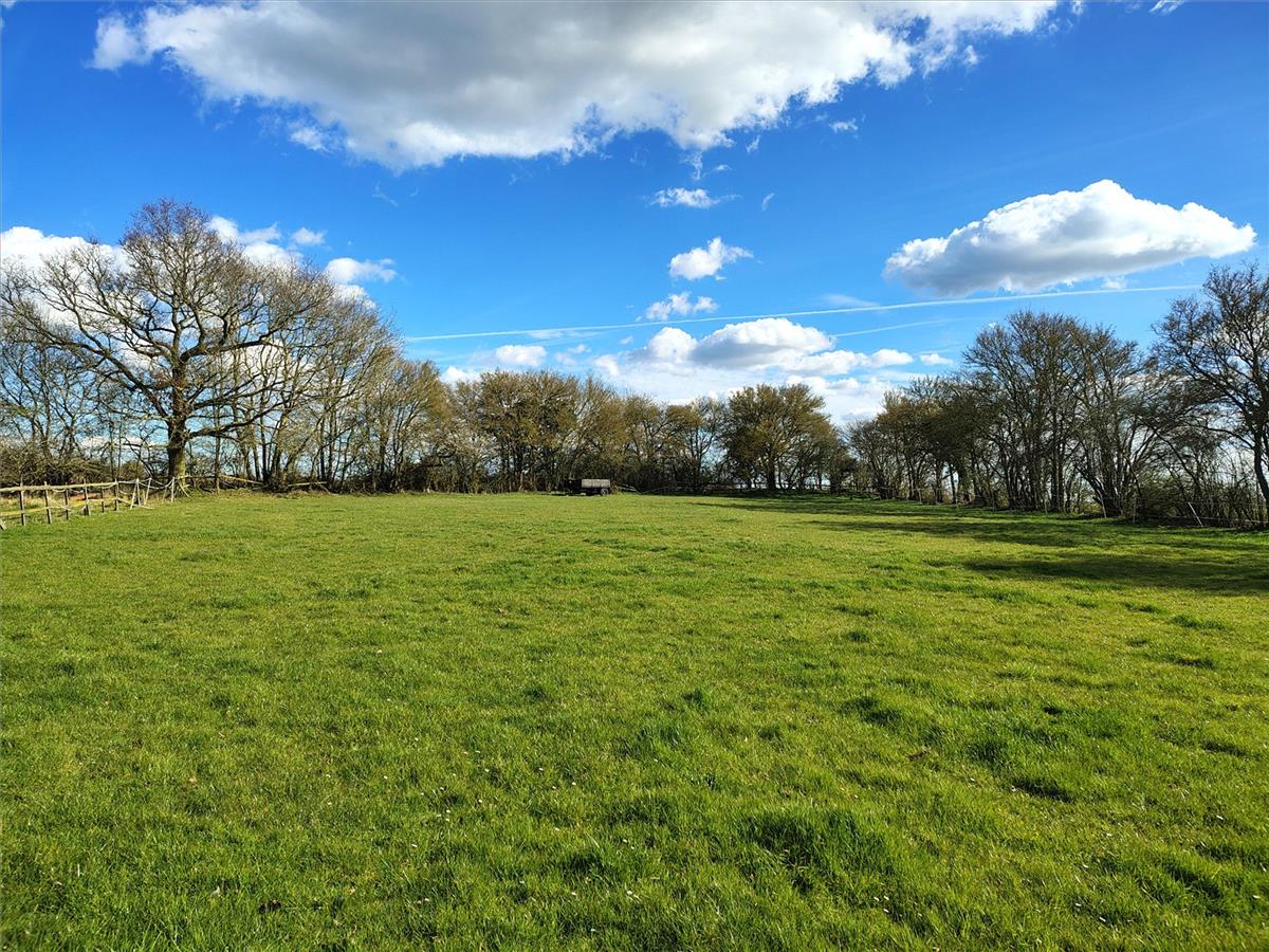 Property Image 4febc9c5-d699-46ab-8285-c20628169cd6