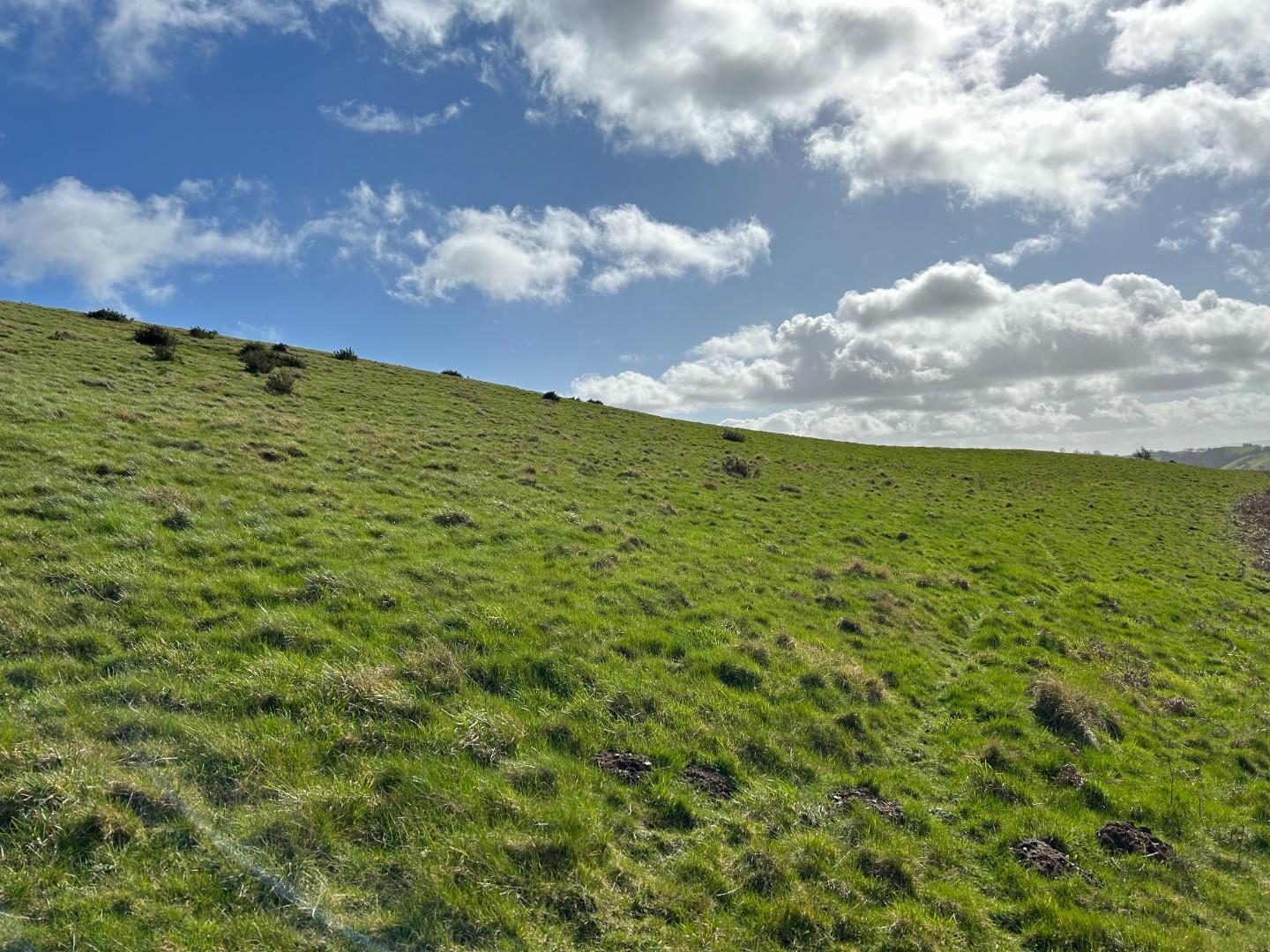 Property Image 501e975b-0d61-4736-a7f6-d390708badee