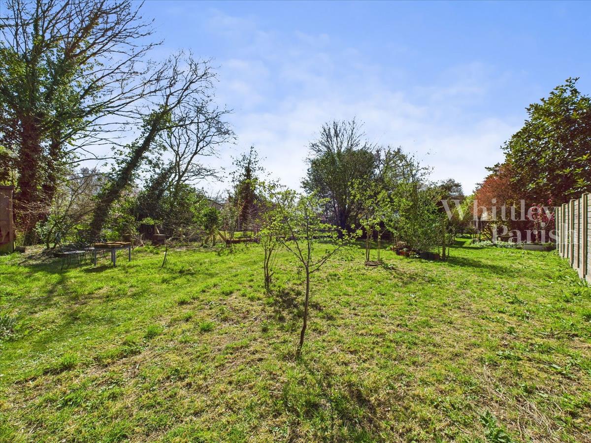 Property Image 5053a14a-05a6-4981-9bdd-553404fe11b7