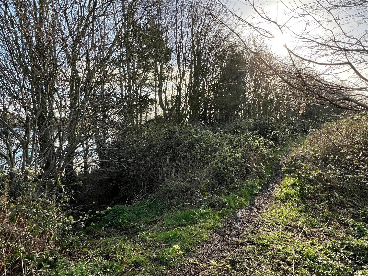 Property Image 505ada02-1dd7-49b2-9946-35c5ef737a45
