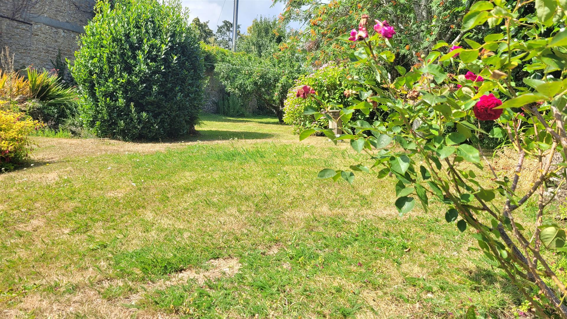 Property Image 5075cc4f-8989-429d-9e37-1a88e42d6f69