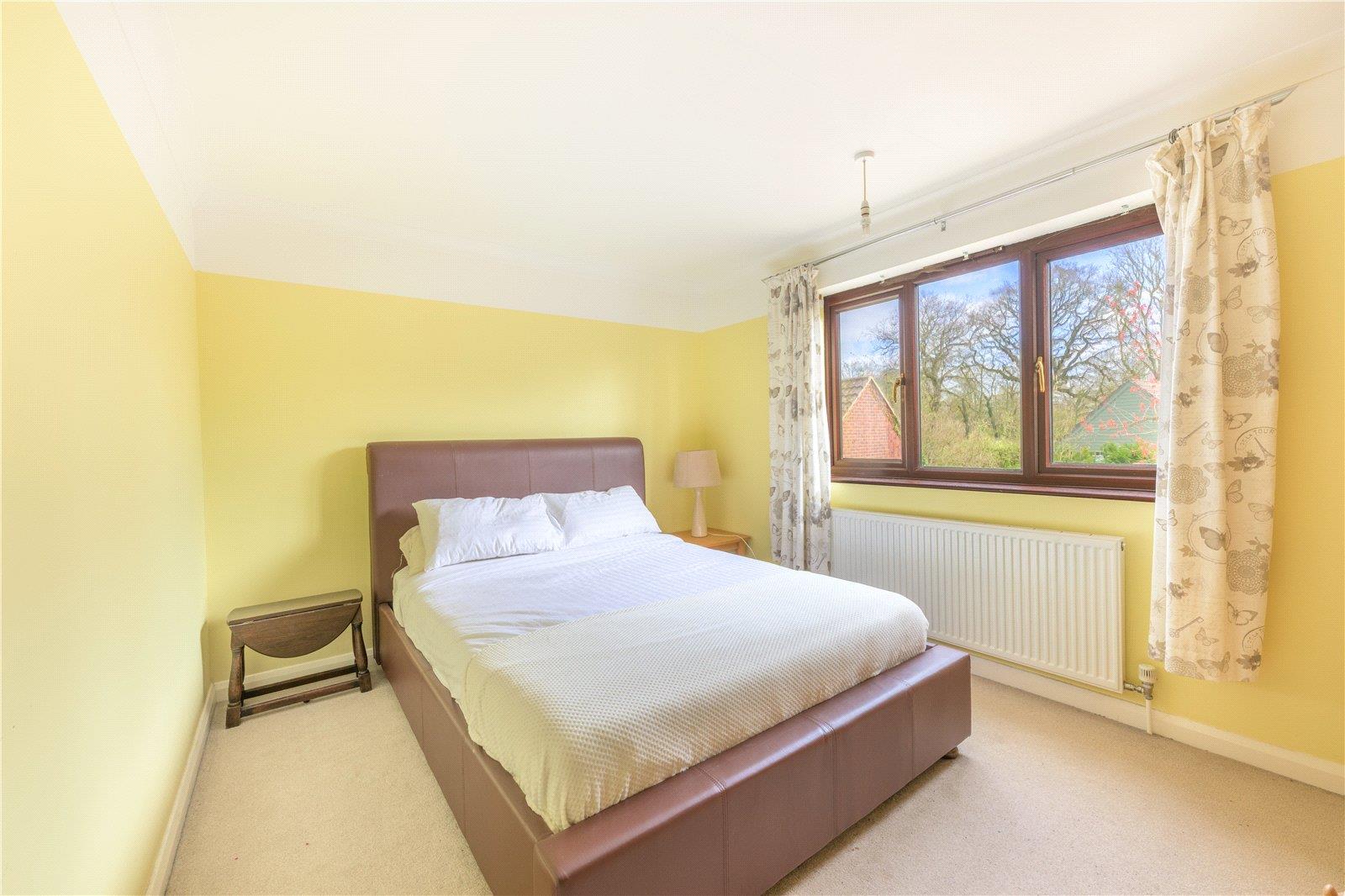 Property Image 5081759f-1f2e-40ee-b972-09915af7e699