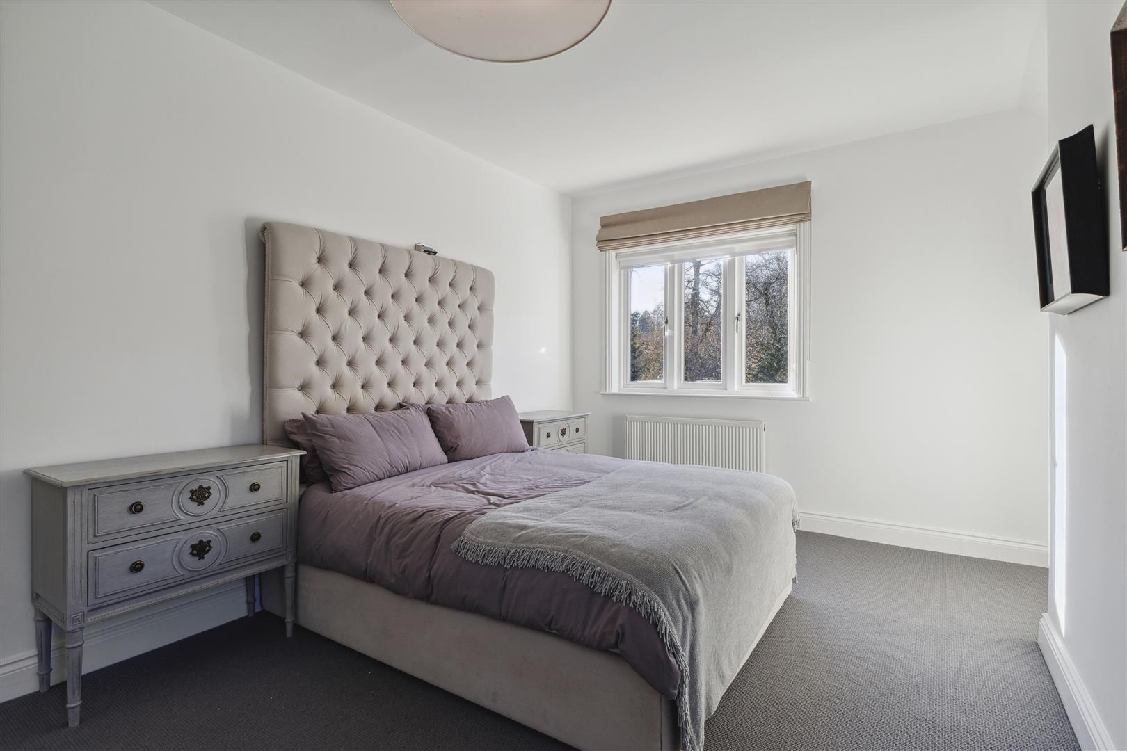 Property Image 509edb8e-2b24-4dda-b2cc-5b5ffa7c429c
