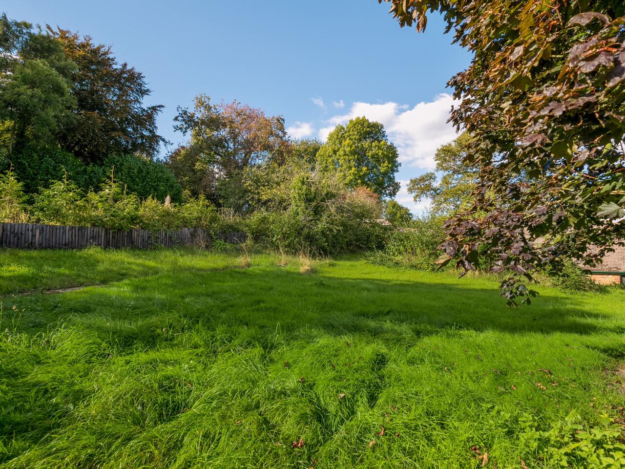 Property Image 50d78fd0-5e7e-4411-8e73-74ebf8ebab42