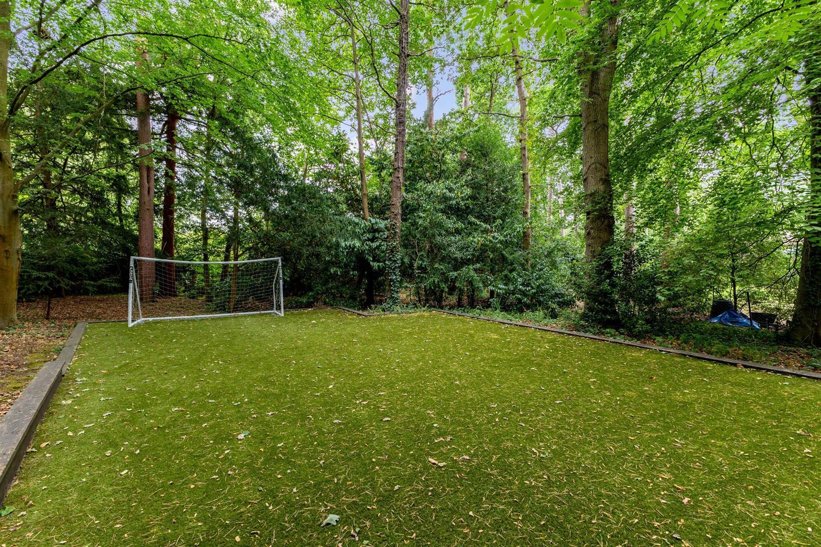 Property Image 50e44ab3-8fc9-47ed-8ab4-0cfef62866ca
