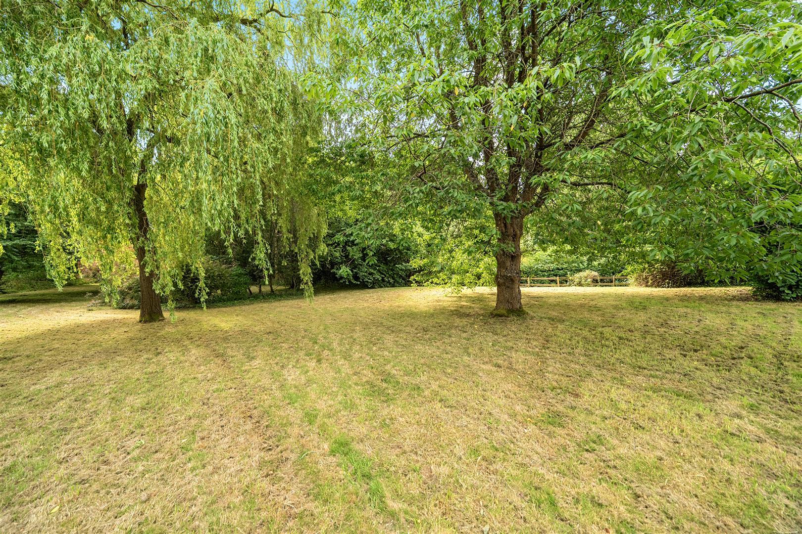 Property Image 516a86de-baeb-4d0d-b7f8-d165c48d4b39