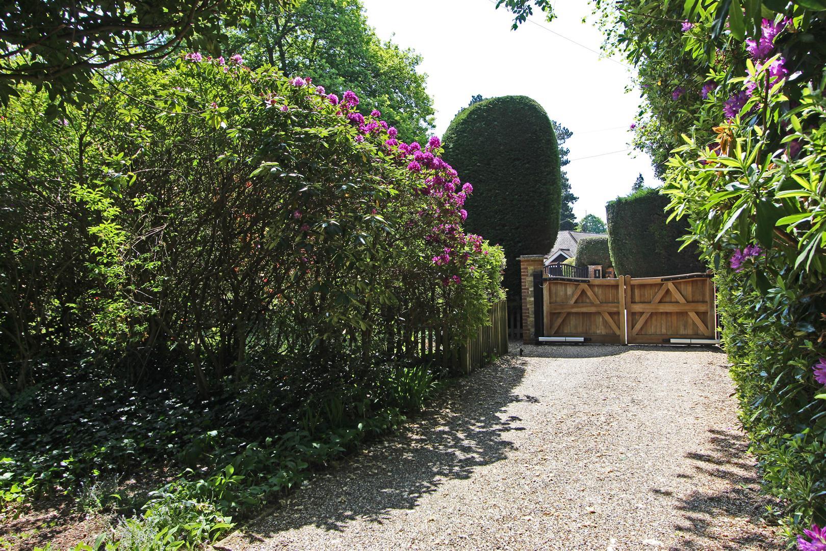 Image 17