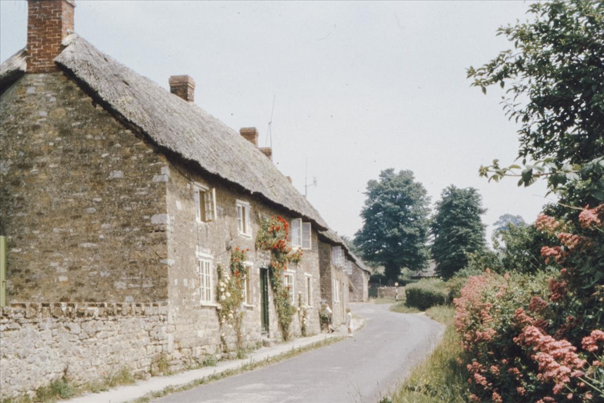 row of thatched cottages on quiet lane