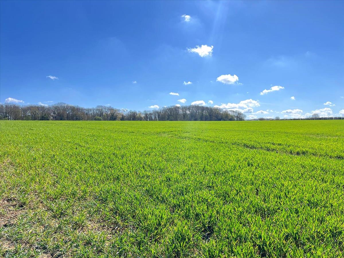 Property Image 51a11344-8e0a-4347-93e9-1fe10392bbfb