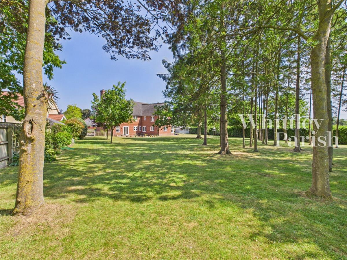 Property Image 51a73a6e-675b-4487-ad5a-e39b4f4ed809