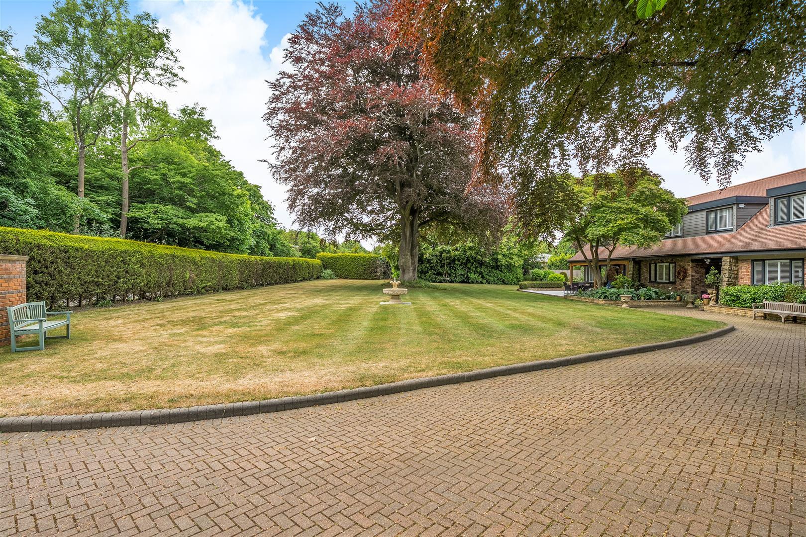 Property Image 51d511d7-1ce9-4fd9-bd6c-9ce27905aa70