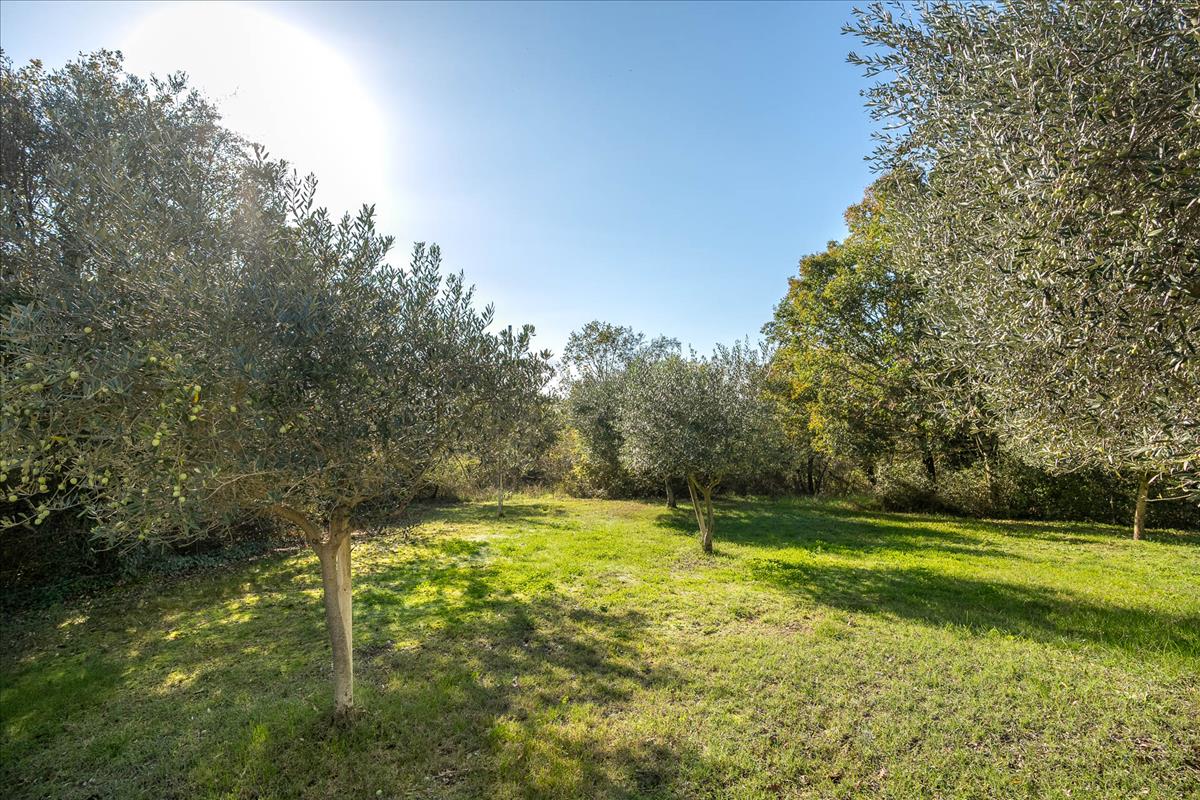 Property Image 51fdda3a-d553-4a22-bd42-2b9e02b7dcde