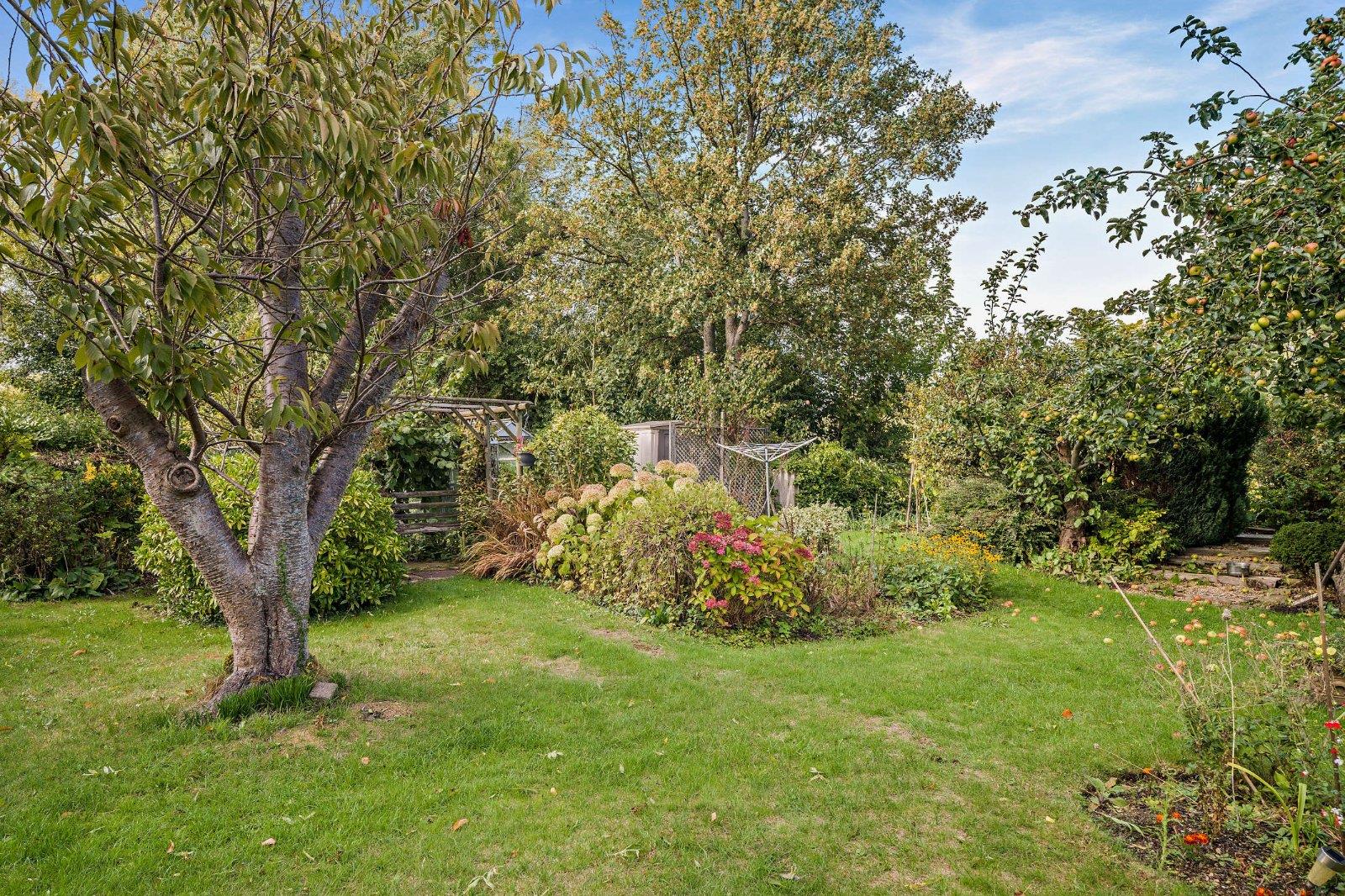 Property Image 5243e165-79a1-4a03-a989-097a5348352a